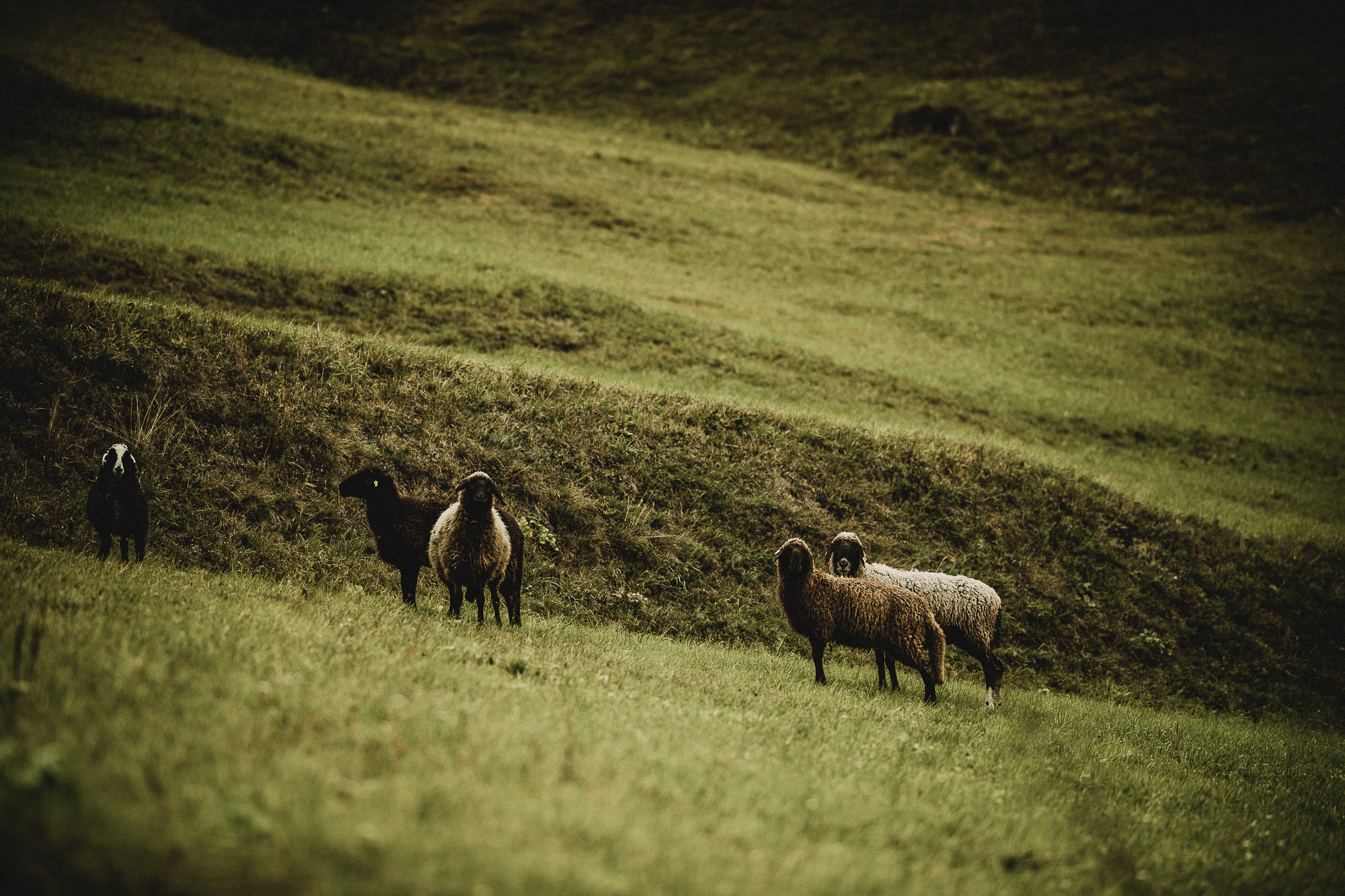 Export x3 1DX23872 Fotoshooting 2018 Annette & Mike Nauders 2